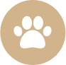 Icon Hover