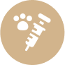 Icon Hover