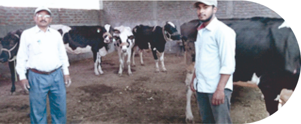 Story Image